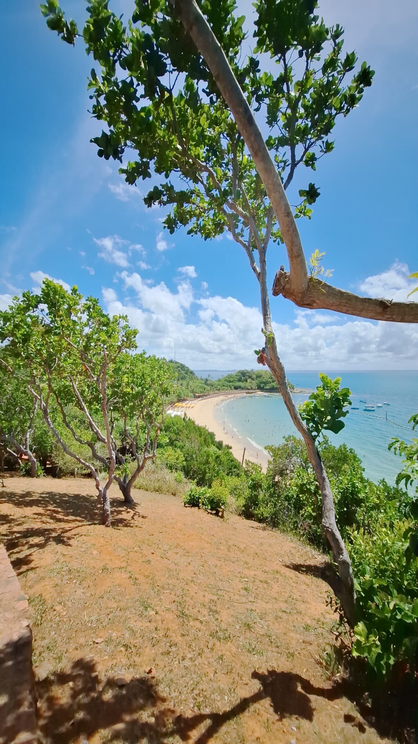 Passeio de Escuna Ilha dos Frades Diariamentea R$110,00 - Imagem 5