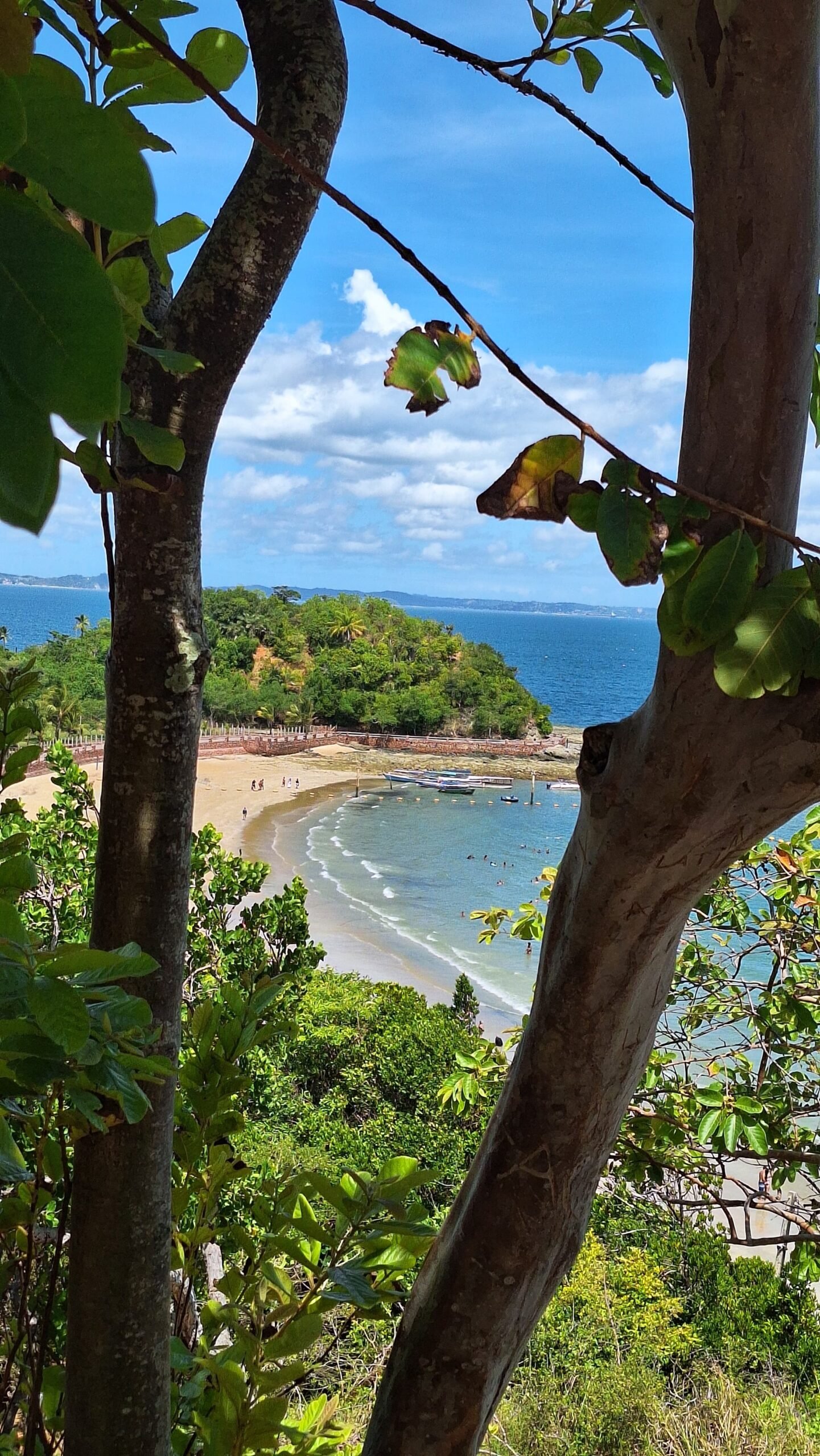 Passeio de Escuna Ilha dos Frades Diariamentea R$110,00 - Imagem 6